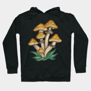 golden teacher shrooms Hoodie